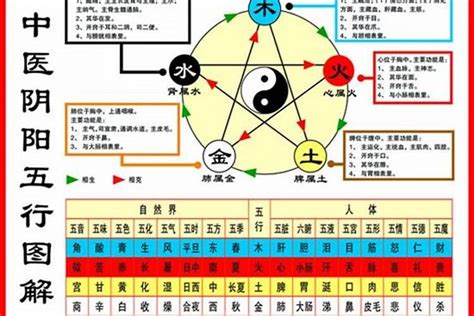 自己的五行怎麼看